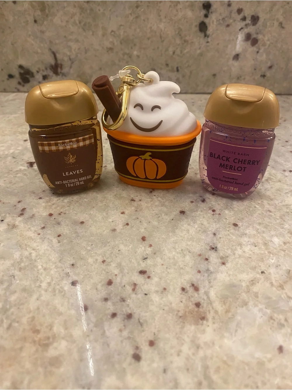 Bath & Body Works set - pumpkin latte hand gel holder bag Cham & 2 hand gels NWT